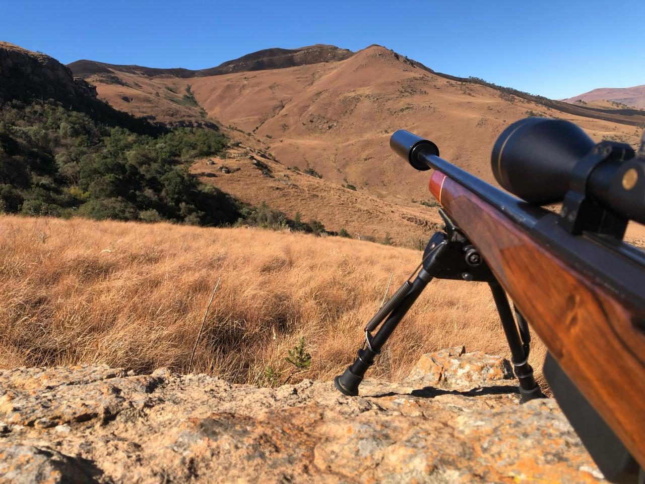 A rifle rested over the Karoo mountains on an Eastern Cape plains game hunt
