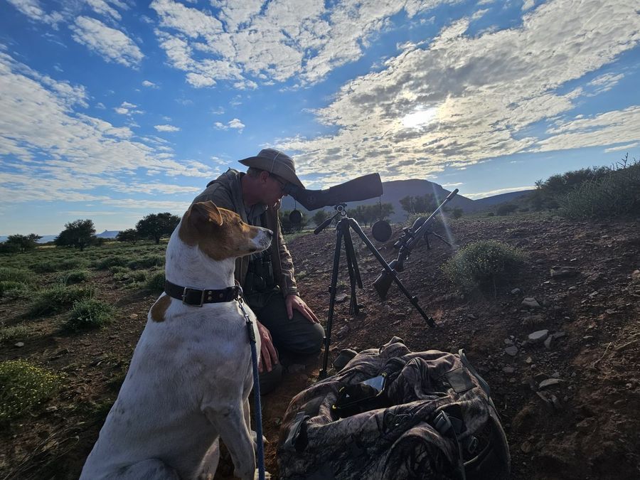 Glassing the Karoo plains at first light