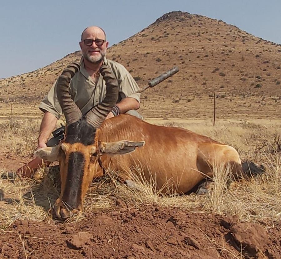 Red hartebeest taken in the Karoo