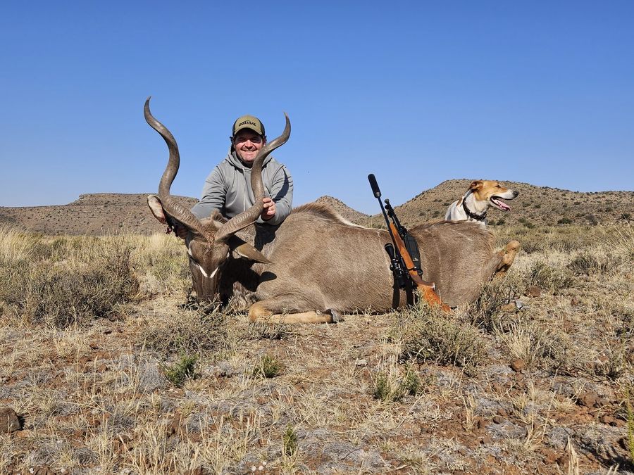 Hunter and tracking dog with a kudu bull
