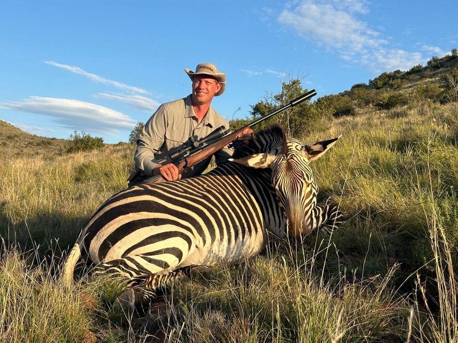 Cape mountain zebra taken on a fair-chase hunt