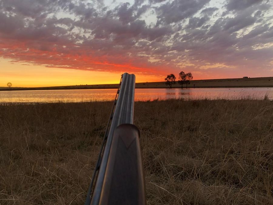 Rifle silhouetted against a Karoo sunset