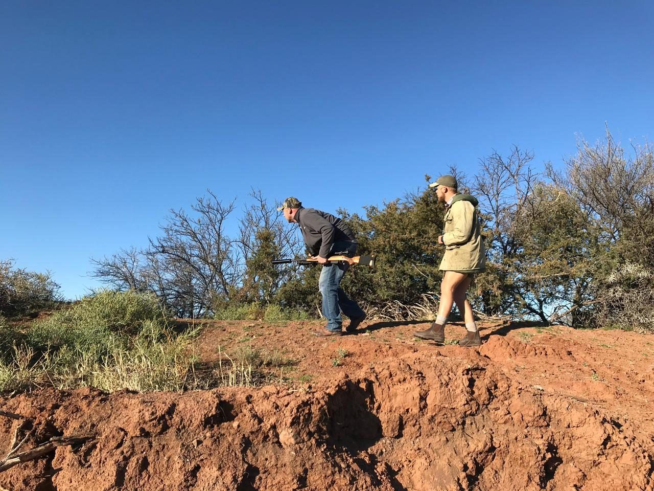 Hunter walking out across the red Karoo sands
